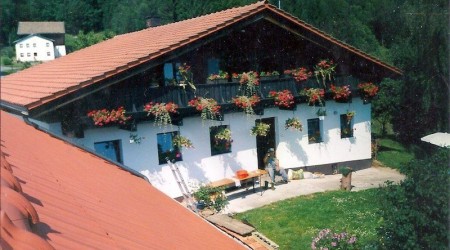 Wolfenhaus vor dem Kauf