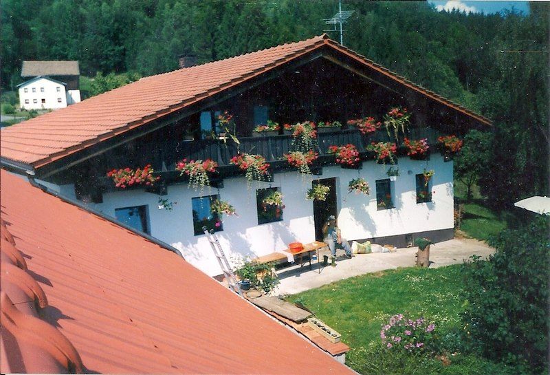 Wolfenhaus vor dem Kauf