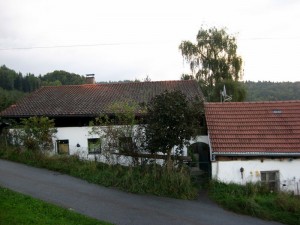 1-img_0043-003