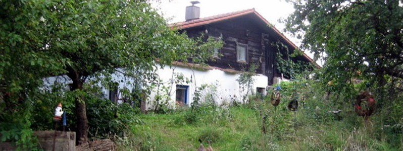 Die Wolfenhaus Nordansicht im Sommer