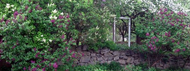 Steinmauer im Garten mit Energietor