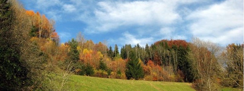 Bayerischer Wald im Herbst