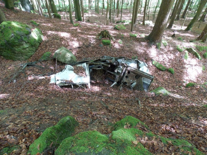 Auto im Wald