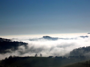 DSCN9554