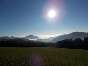 DSCN9556