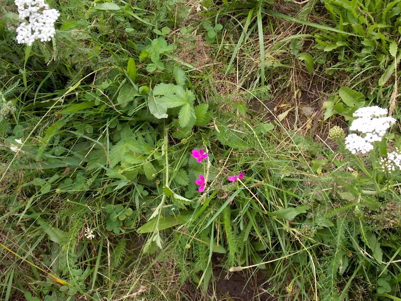 DSCN2073