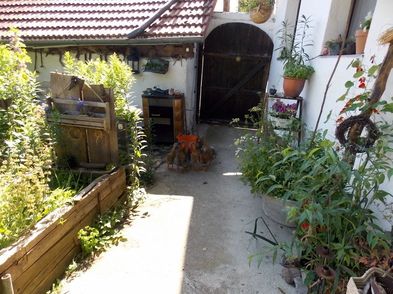 DSCN2104