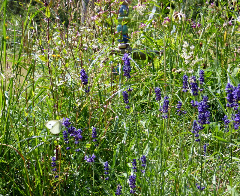 P1190330