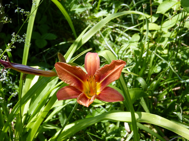 P1190340