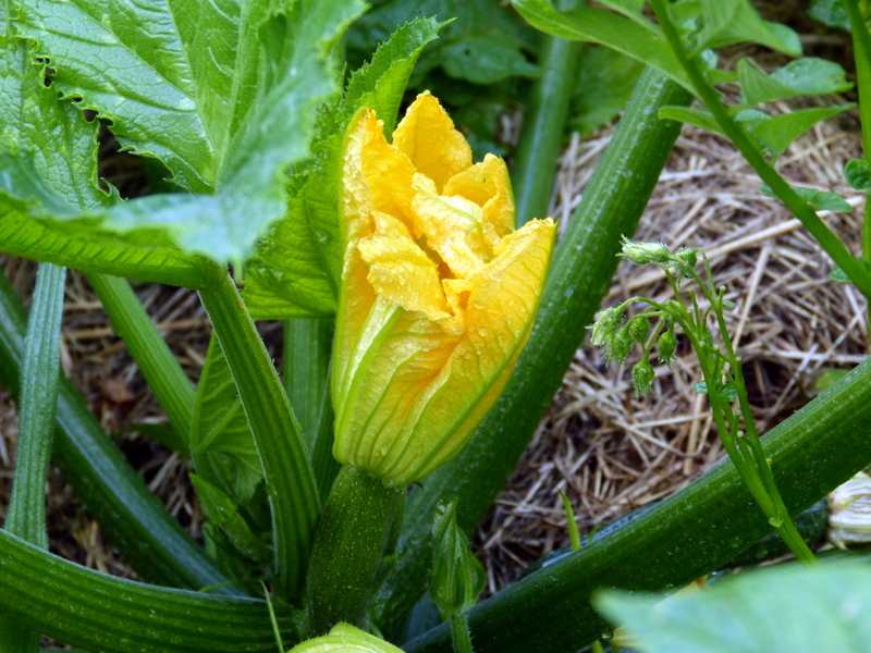 P1190392