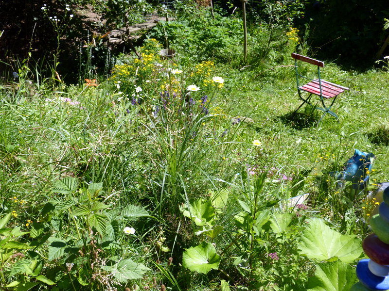 P1190481