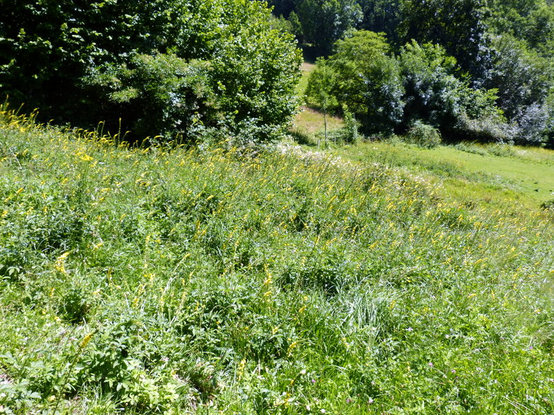 P1190491