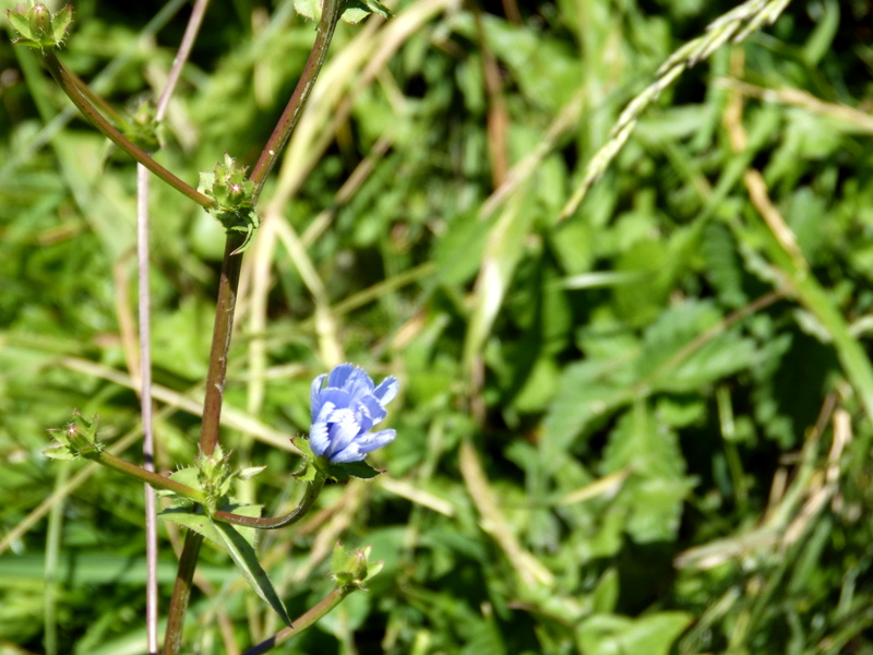 P1190493