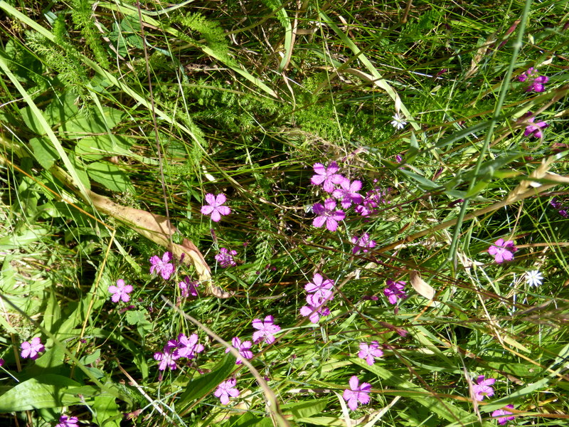 P1190558