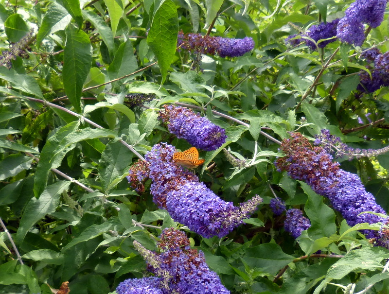 P1200043