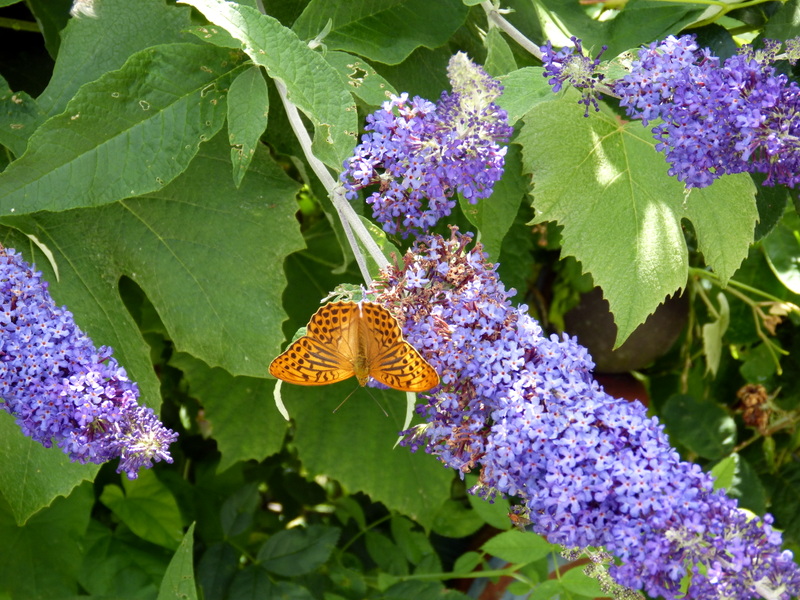 P1200051