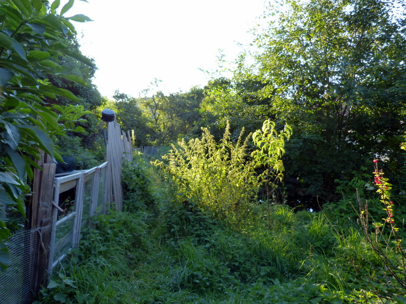 P1200238