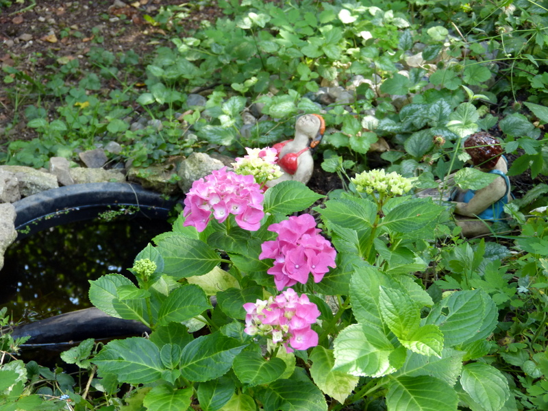 P1200463