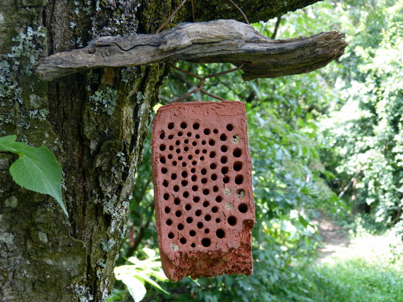 P1200471
