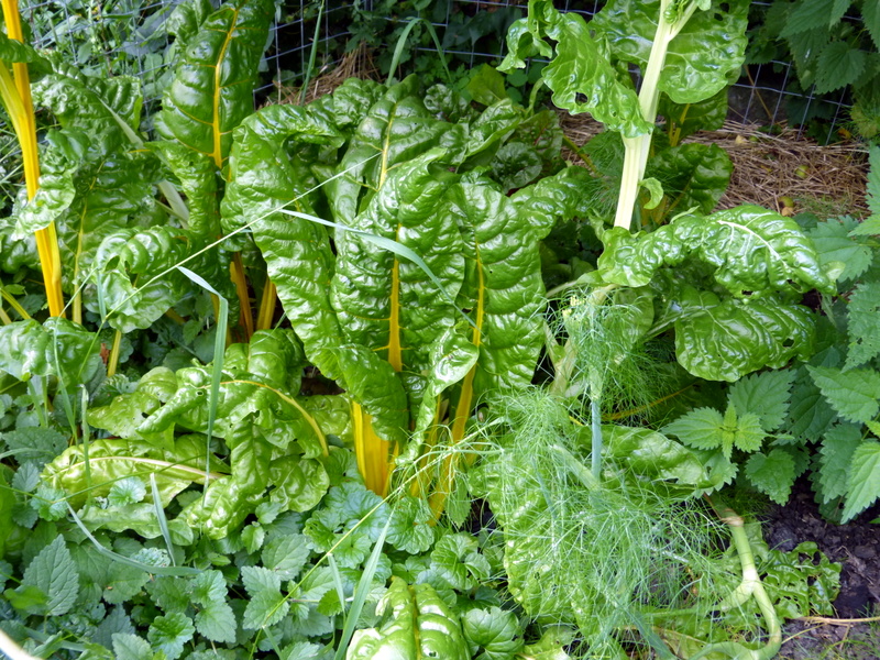 P1200478