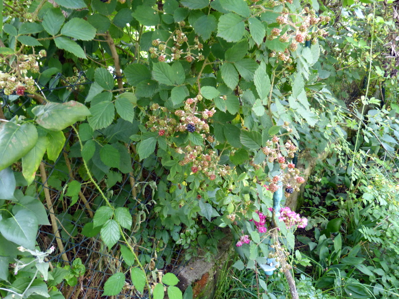 P1200486