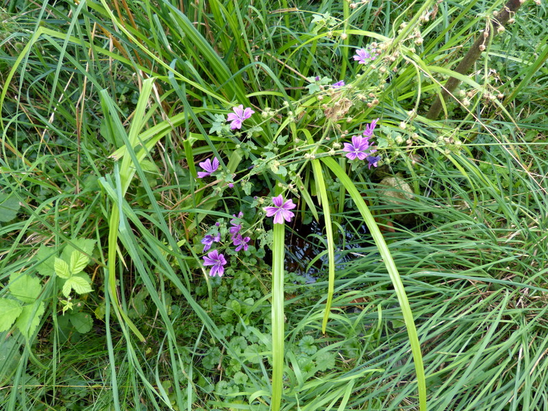 P1200487