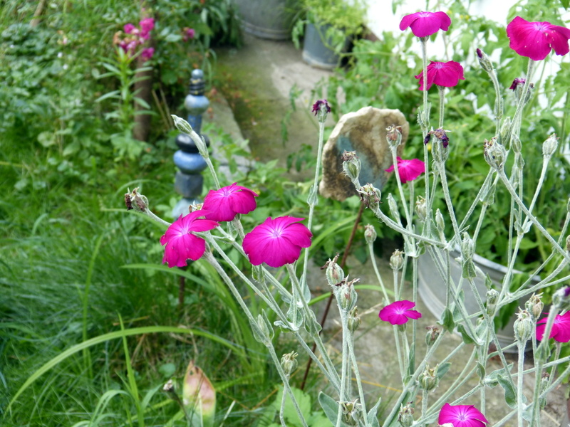P1200492