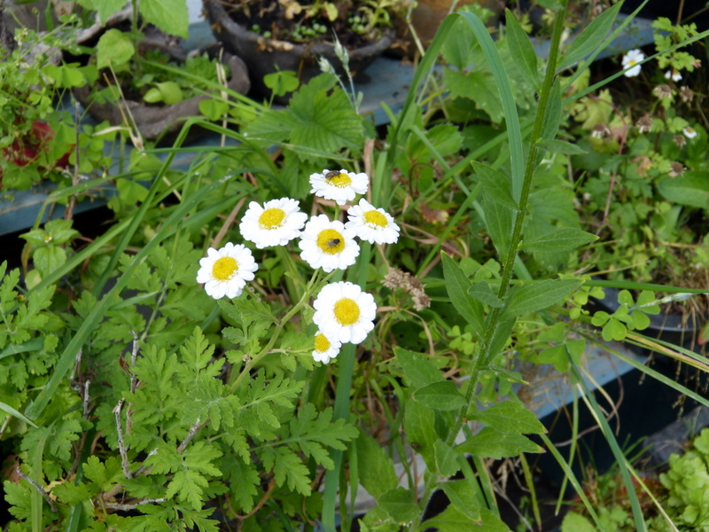 P1200494