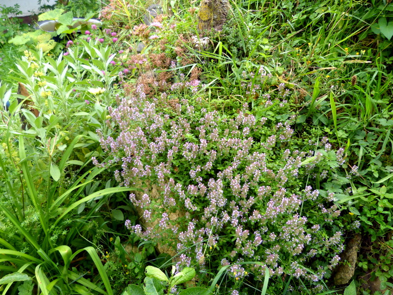 P1200530