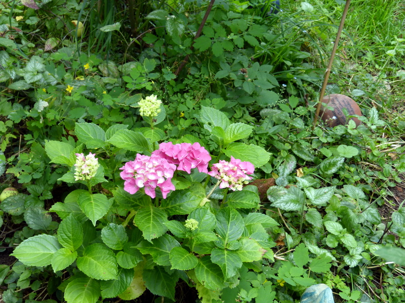 P1200548
