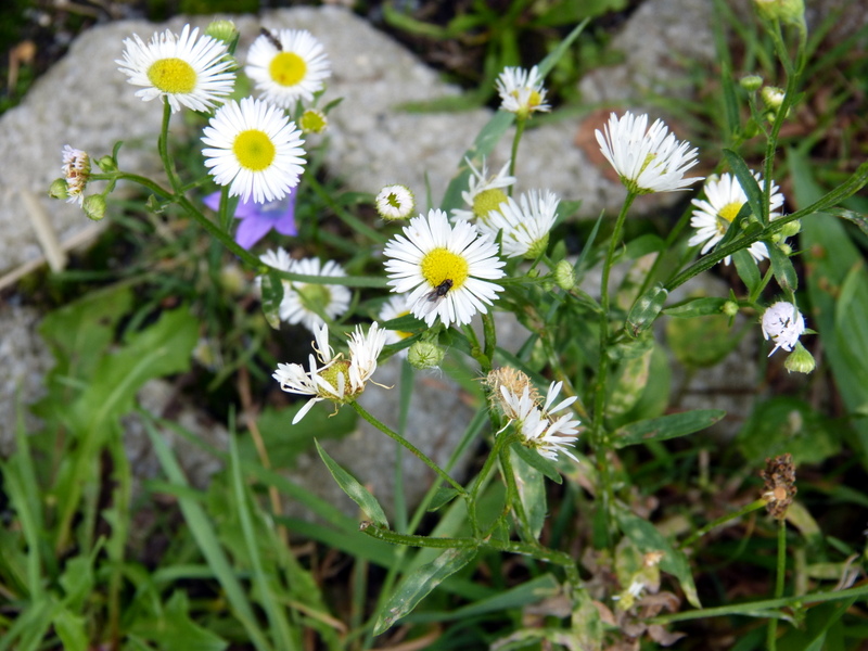 P1200554