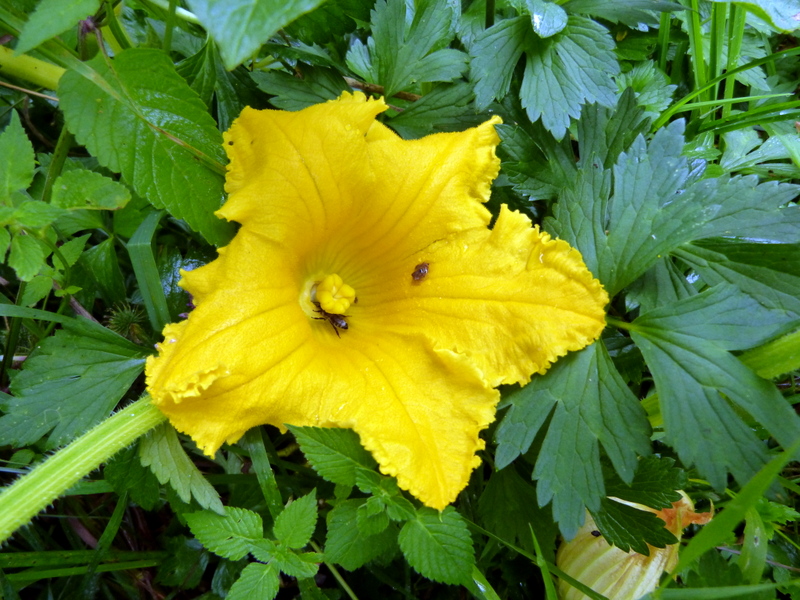 P1200717