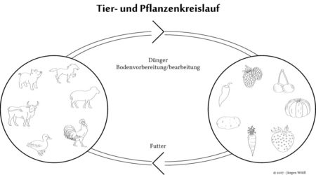 Tier und Pflanzenkreislauf